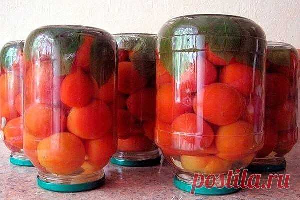 (4) Одноклассники