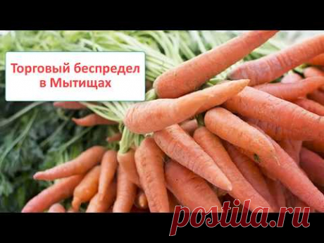 Торговый беспредел в Мытищах