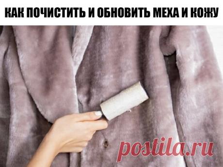 Как почистить и обновить меха и кожу
Берем на заметку!
1 Изделия из кожи можно обновить, протерев их взбитым яичным белком. Загрязненную кожу можно мыть теплым некипяченым молоком. 
2 Цвет кожи восстановится, если смазать ее глицерином. 
3 Изделиям из кожи придаст блеск кофейная гуща. Гущу нужно завернуть в шерстяную или фланелевую тряпочку и энергичными движениями протереть кожу. 
4 Кожаные изделия можно чистить водой с мылом и нашатырным спиртом, а потом протереть тряпочкой смоченной касто