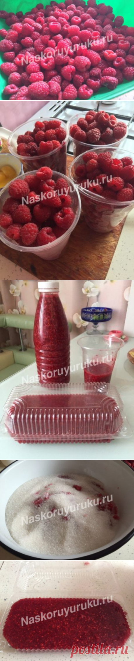 Как заморозить малину на зиму в холодильнике