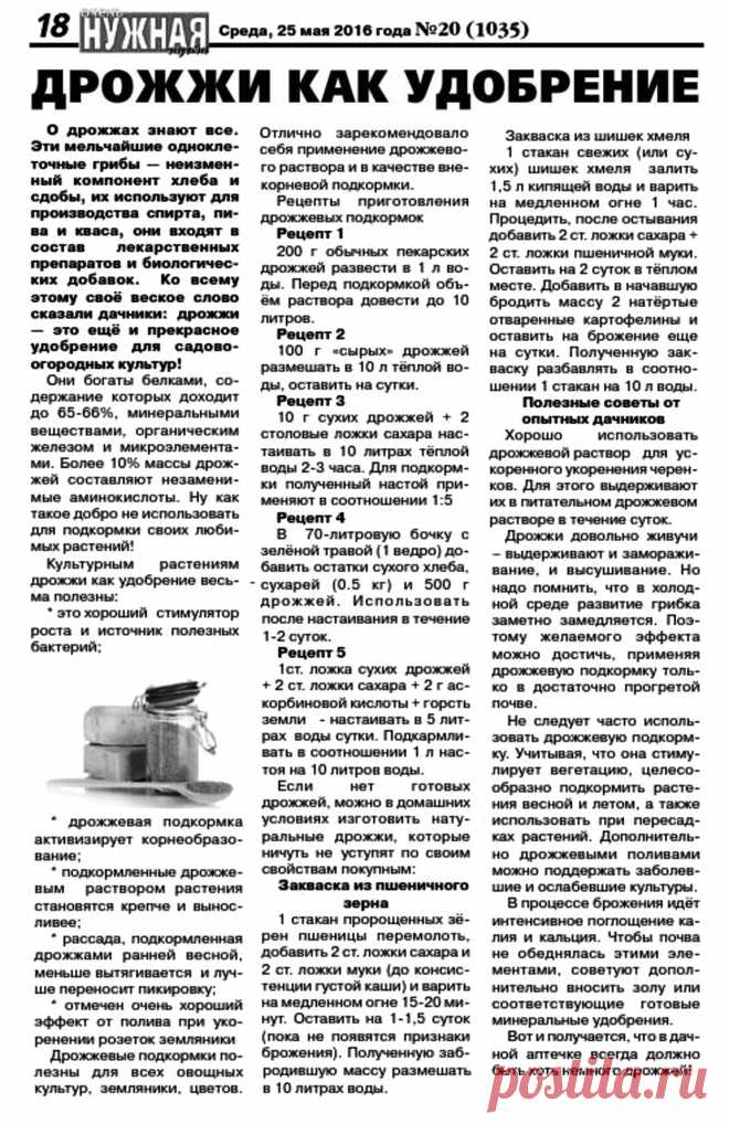 Дрожжи как удобрение