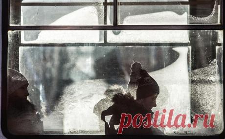 Город в Приморье за ночь остался без общественного транспорта. В приморском городе Лесозаводске жители остались без общественного транспорта, поскольку единственный перевозчик ООО «Дальатп» перегнал автобусы в неизвестное место, сообщила пресс-служба администрации города.