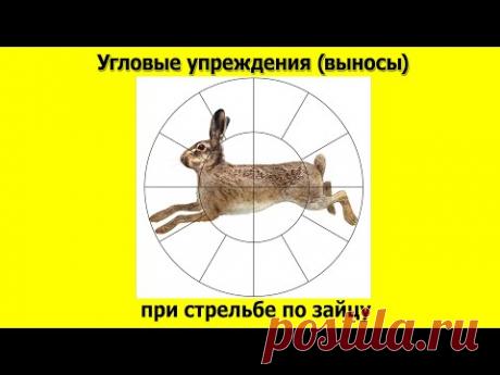 Угловые упреждения (выносы) при стрельбе по зайцу и другой наземной дичи