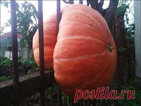 Побег почти удался!