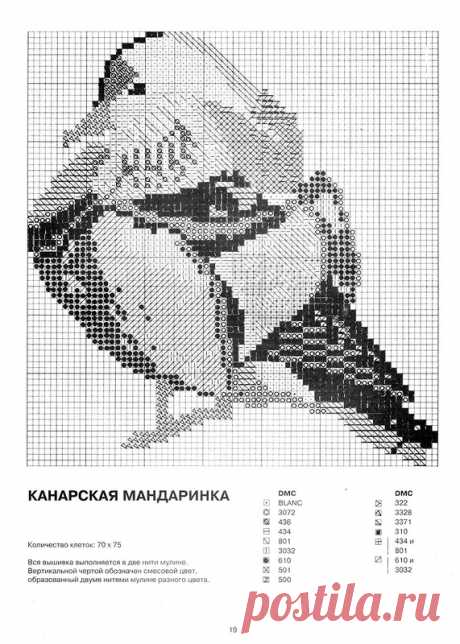 Яндекс.Фотки
