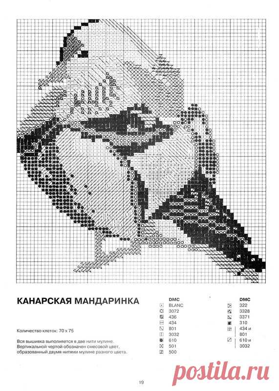 Яндекс.Фотки