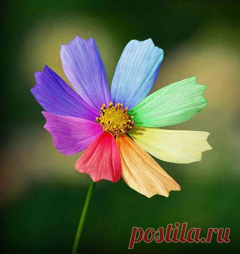 Что мне снег, что мне зной, что мне дождик проливной, когда ЖЖ-друзья со мной...