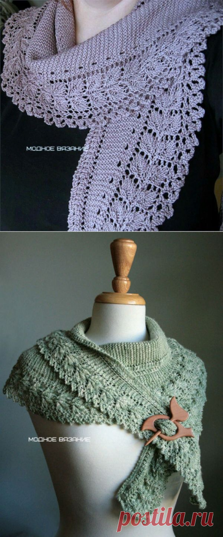 ​Изумительной красоты бактус спицами — DIYIdeas