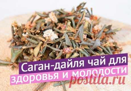 Как же неожиданно погода поменялась на холод. Читаю ваши сообщения и комментарии и вижу, что во многих областях страны произошла такая же история)

В такие моменты важно поддержать организм, чтобы он легче адаптировался к переменам, в том числе и погодным.

Хочу напомнить о чае саган-дайля. Это мой любимый заменитель бодрящих напитков, адаптоген, помогающий всем системам организма противостоять внешним воздействиям и стрессу.
⠀
Ароматный чай, действует как природный стимул...