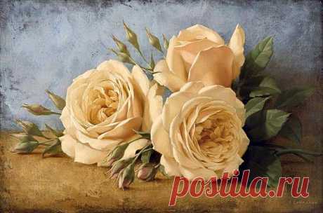 Диалог о любви и розы Игоря Левашова | ОЛИМП(Общество Любителей Искусства Музыки Поэзии) | Группы Мой Мир