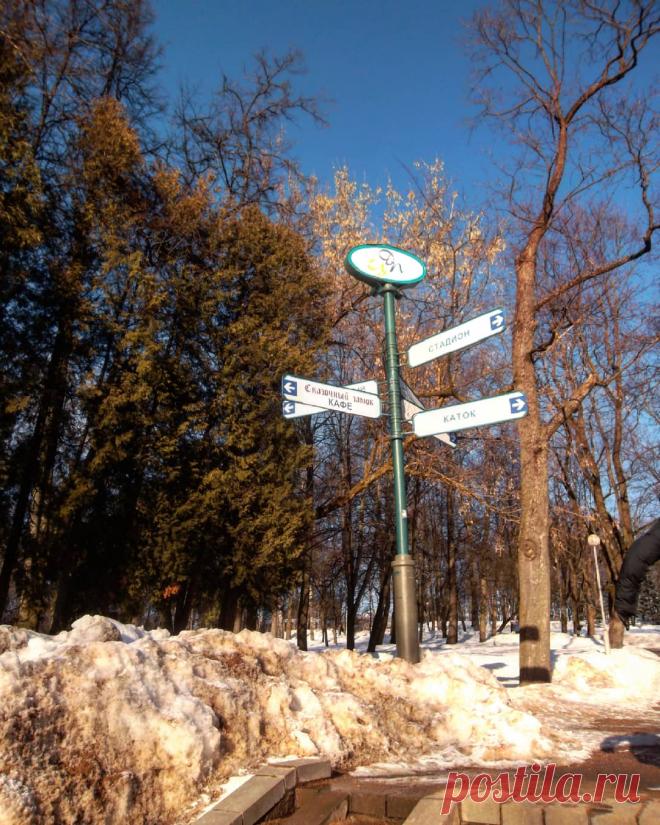 Развилка, зима, парк.