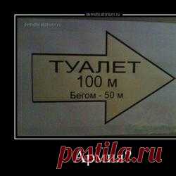 Свежие демотиваторы для хорошего настроения