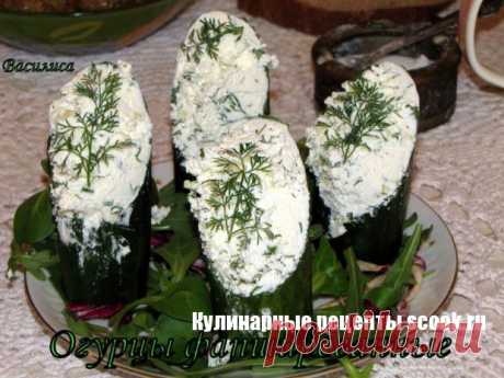 Огурцы фаршированные творогом | Рецепты вкусных блюд