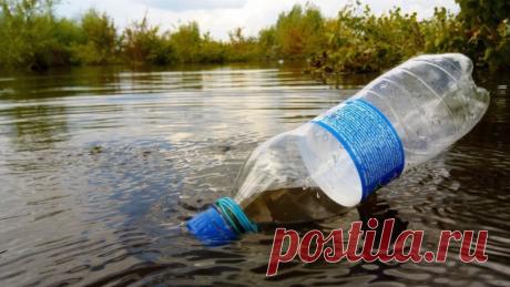 Ловля рыбы на бутылку – Рыбалке.нет