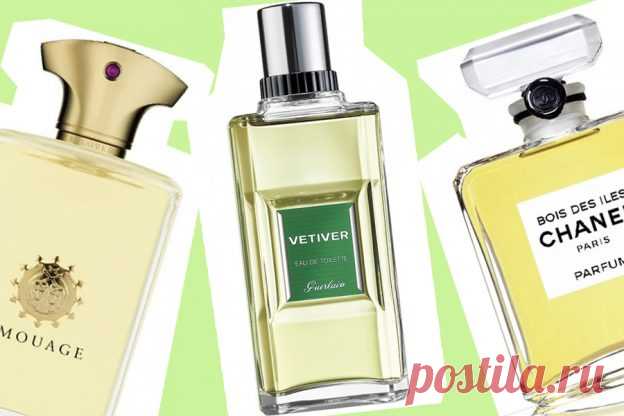 Лучшие древесные ароматы для женщин: рейтинг | Beauty Insider