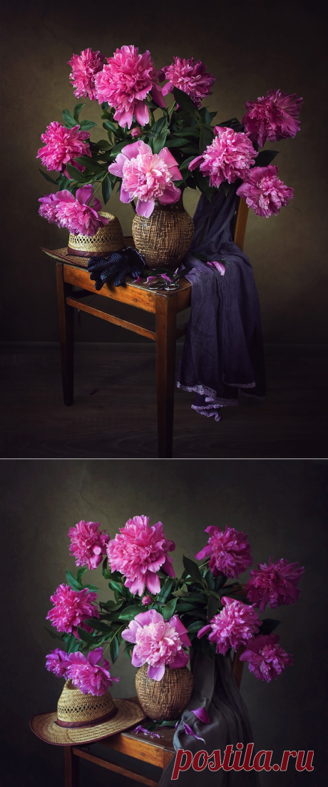 Дачный сезон пионов | Фотосайт СуперСнимки.Ру