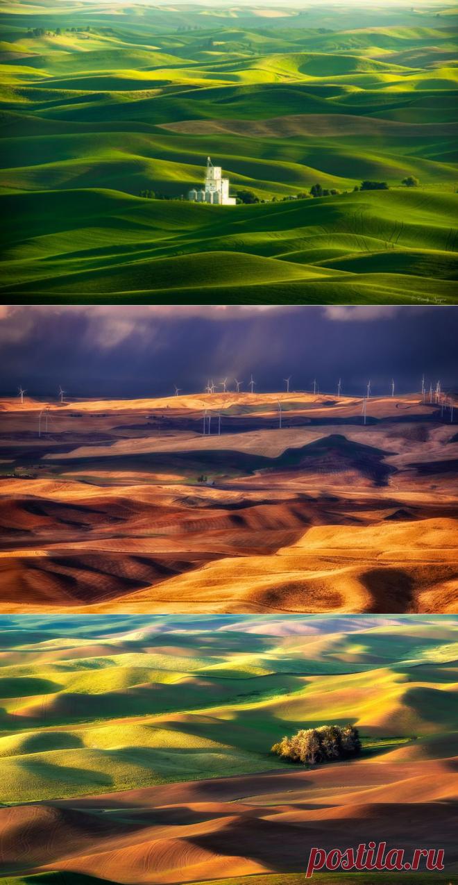Лучшие фотографии со всего света - Холмы Палуз