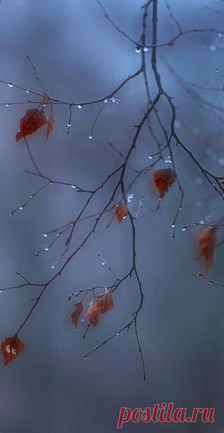 Pinterest: инструмент для поиска и хранения интересных идей
