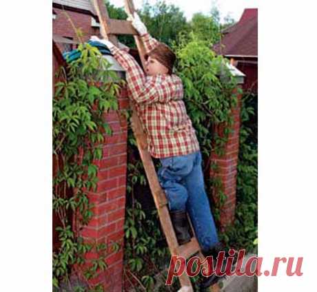 Каждому огороду — свое чучело! — 6 соток