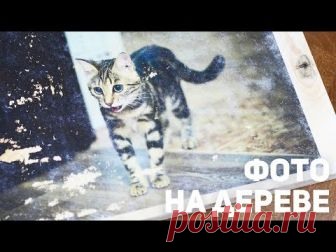 Как перенести фотографию на дерево / 2 способ