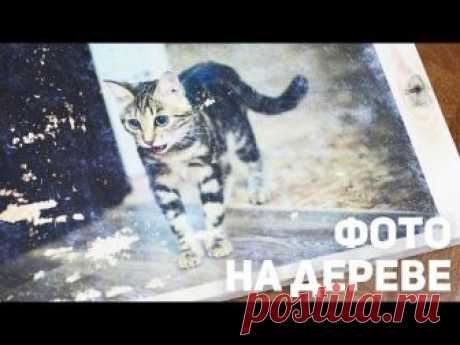 Как перенести фотографию на дерево / 2 способ
