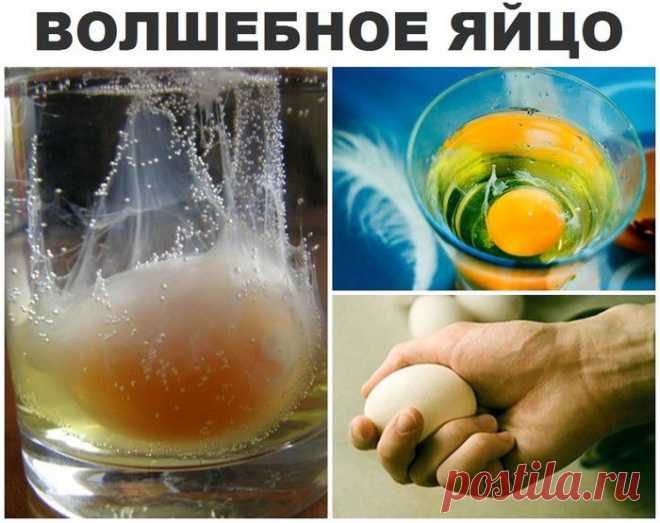 Снятие негатива с человека и лечения несложных болезней сырым яйцом