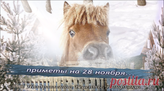 Как провести 28 ноября с пользой…
