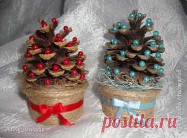 Шишечные ёлочки. Мастер-класс








•••в продолжении ещё фото