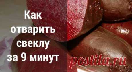 Как отварить свеклу за 9 минут. «Шуба» и «Графский» теперь готовятся в разы быстрее! — Мир интересного