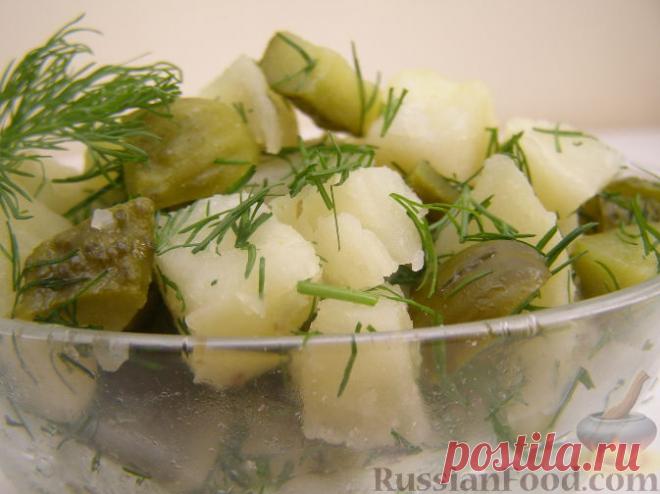 Рецепт: Салат картофельный с маринованными огурцами и укропом на RussianFood.com