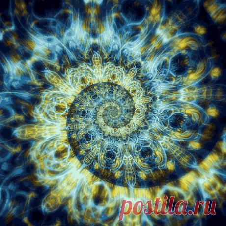 Живые фотографии – Сообщество – Google+