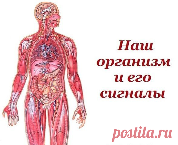 Наш организм и его сигналы.