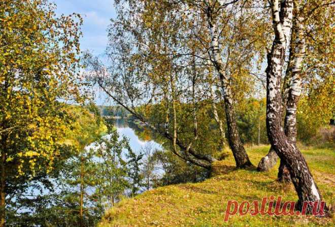 (+1) тема - Сентябрьский день на реке " Березине " | Фотоискусство