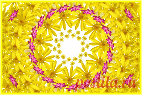 Yellow Mandala With Flowers  Free Stock Photo HD - Public Domain Pictures