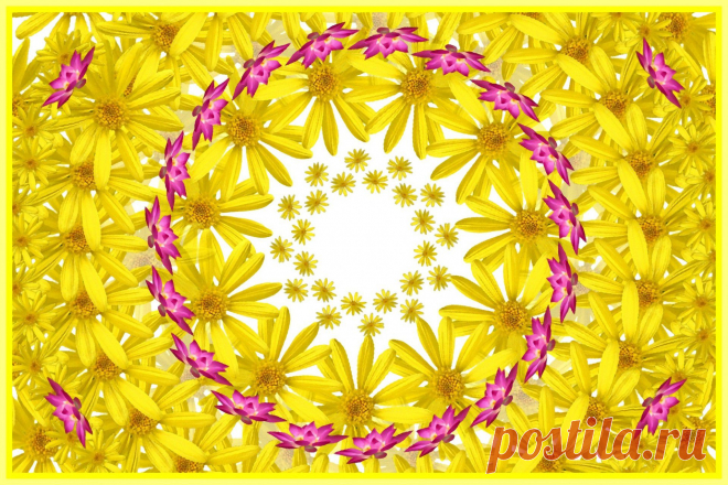 Yellow Mandala With Flowers  Free Stock Photo HD - Public Domain Pictures