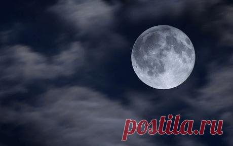 ЧТО МОЖНО, А ЧТО НЕЛЬЗЯ ДЕЛАТЬ В ПОЛНОЛУНИЕ.
Самая неоднозначная фаза Луны – полнолуние. В это время кто-то активно сходит с ума, кричит, впадает в истерику и пытается неосознанно уничтожить все, что создавалось с огромным трудом. А кто-то испытывает подъем сил, прилив вдохновения и оптимизма.

Кто-то жалуется на бессонницу, а кто-то счастлив от того, что не хочется спать, что можно творить, не отвлекаясь от высокого на низменные потребности.