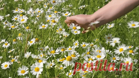 Фотографии ПоГуЛяЙ По РаДуГе °•✿ܨܓܨ - 10000 фото в Моем Мире.
