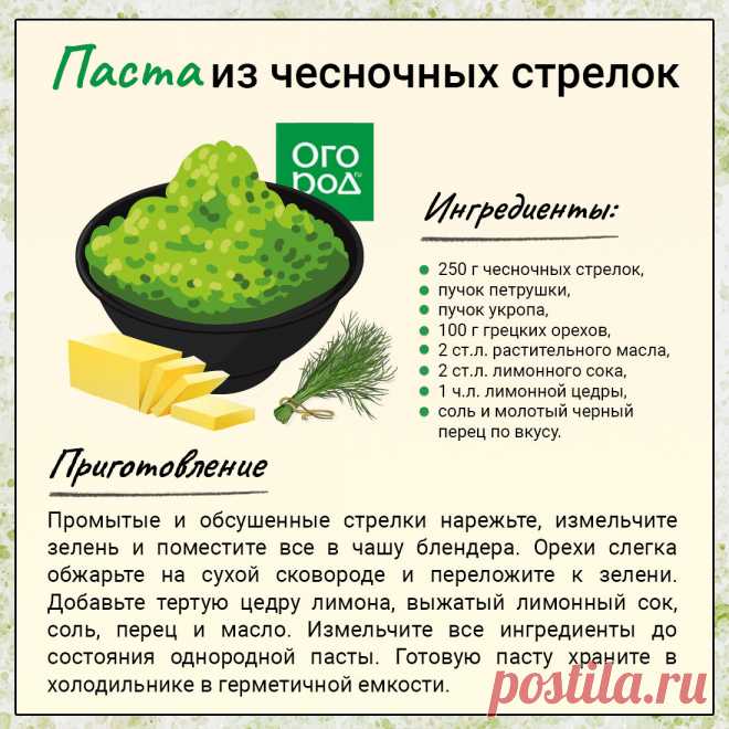 Паста из чесночных стрелок