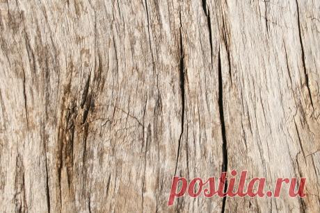 ✓ Текстура дерева #86 скачать клипарт бесплатно - Clipart-DB