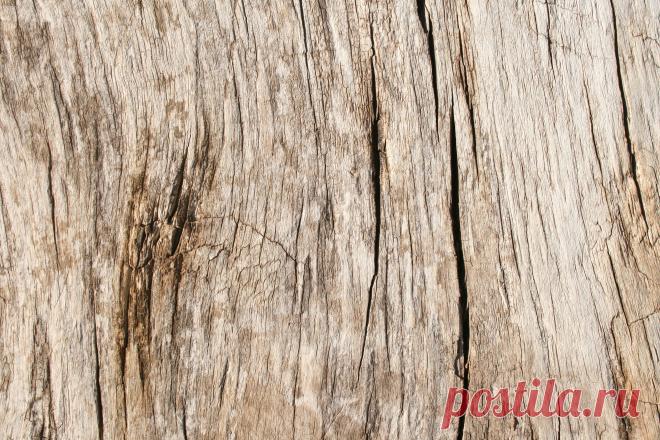 ✓ Текстура дерева #86 скачать клипарт бесплатно - Clipart-DB