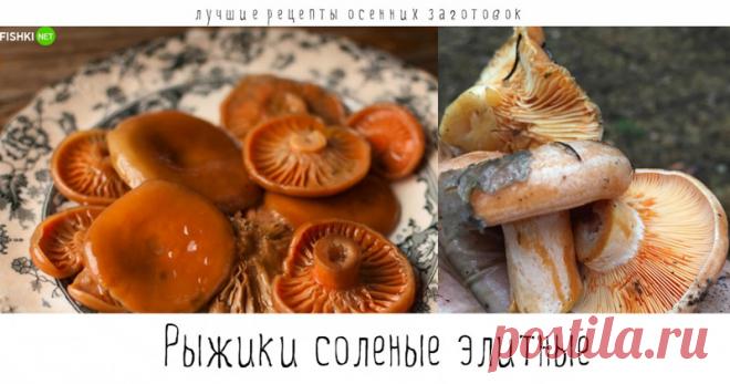 Лучшие рецепты осенних заготовок - чтобы зимой было вкусно!