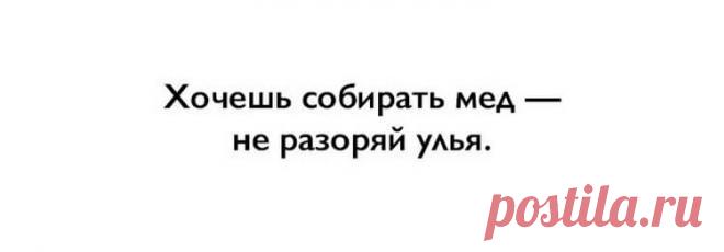 10 мотивирующих фраз Дейла Карнеги. - Нимфа