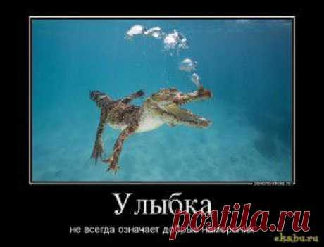Лечение полиартрита народными средствами | Народная медицина