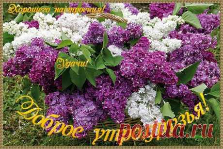 (98) Facebook