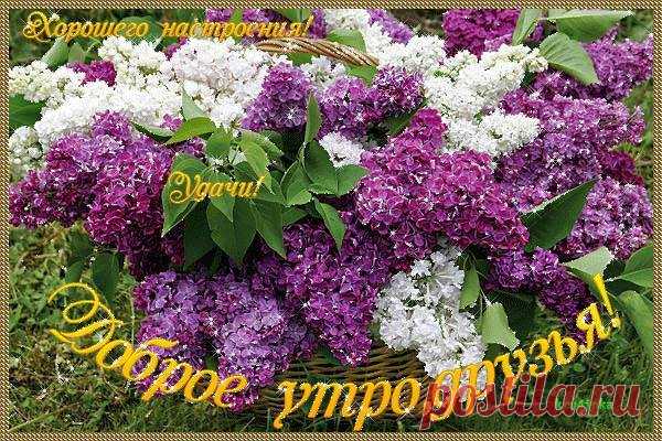 (98) Facebook