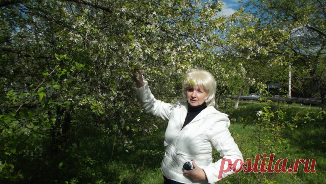 Share.Pho.to | Мгновенная загрузка больших фотосетов. Короткие интуитивные ссылки для публикации.
