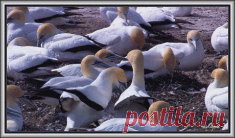 * Программы 1 * | Записи в рубрике * Программы 1 * | МИР КРАСОТЫ - БЛОГ MegaRut