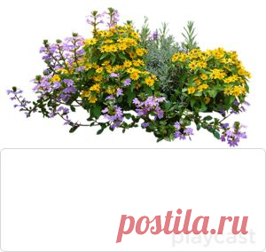 Плейкаст «Доброго вечерочка !»