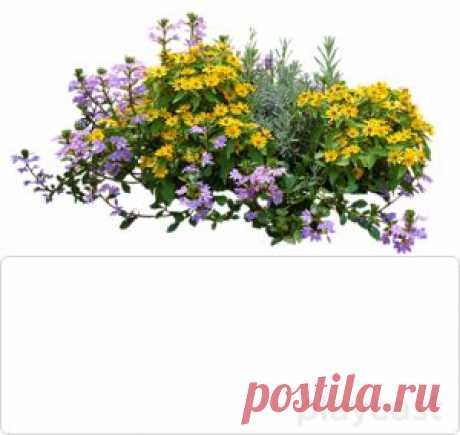 Плейкаст «Доброго вечерочка !»