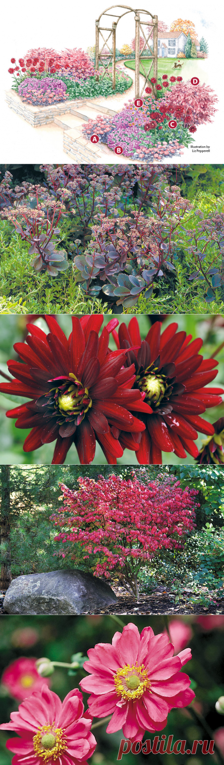 Flowery fall garden | Garden Gate Magazine